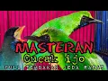 Download Lagu Masteran CUCAK IJO full TEMBAKAN TENGKEK BUTO jeda rapat