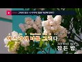 그대와 잠든 나 사이에 (웹툰"N번째 연애") - 카더가든(Between You And Me - Car, the garden) (KY.28625) / KY Karaoke