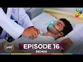 Download Lagu Bichoo Episode 16