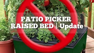 Patio Picker Raised Bed Update