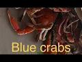 Ultimate Ocean City MD Food Guide Where to Eat