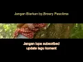 Download Lagu Jangan Biarkan#Broery Pesolima - karaoke