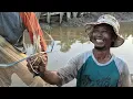 Download Lagu BERBURU UDANG BABON DARI SUNGAI SEKITAR PERMUKIMAN TRANSMIGRASI SEPUNGGUR