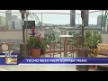Techo Beso reveals new summer menu