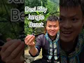 Download Lagu \