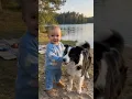 Baby Meets a Fluffy Border Collie The Cutest Moment