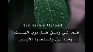 رضيت برب الورى خالقي     رائعة دندنها