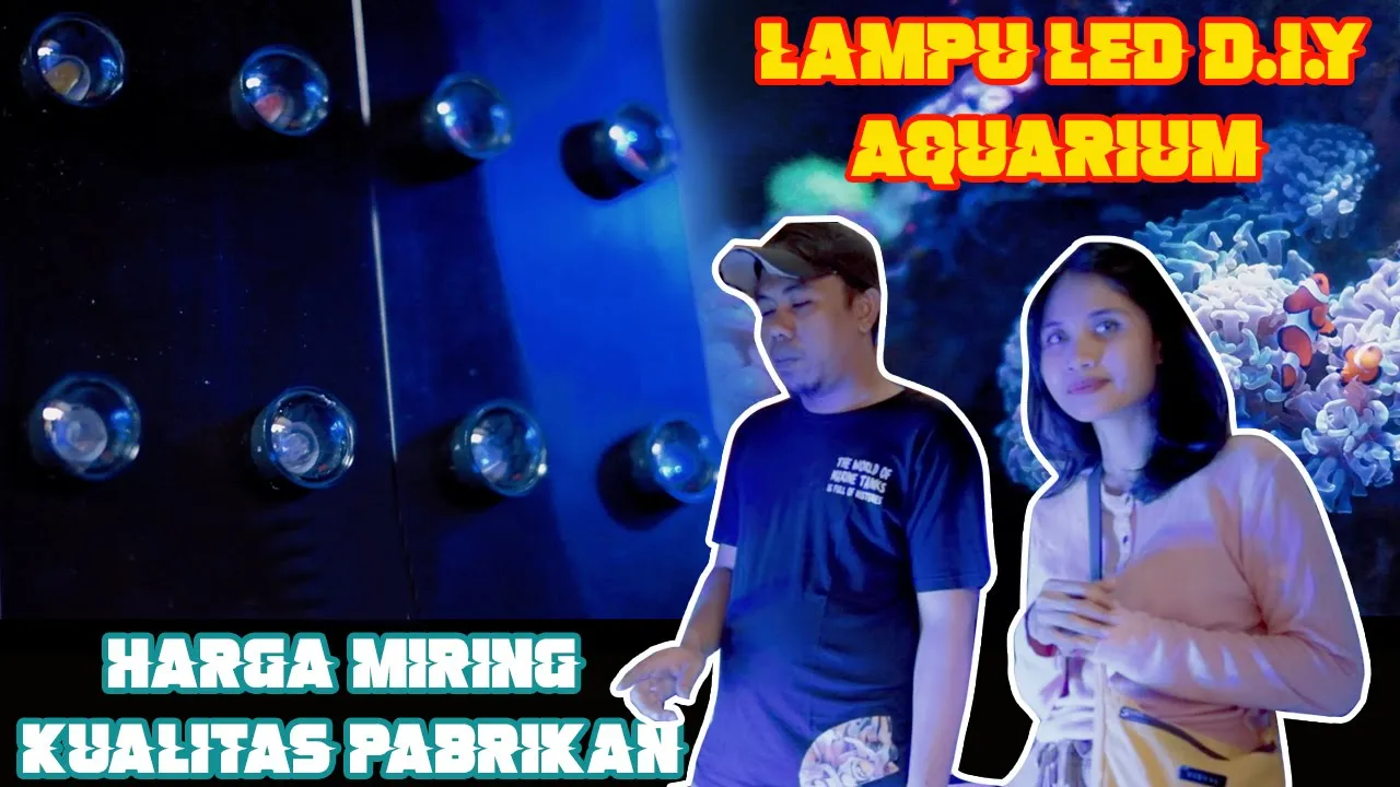 Pembuktian Lampu UV menjernihkan Air berlumut Di Aquarium