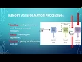 Memory Basics - Information Processing Model