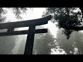 HEIGHTMAXXXING 100 most extreme height growth superhumanly taller NOW 3X