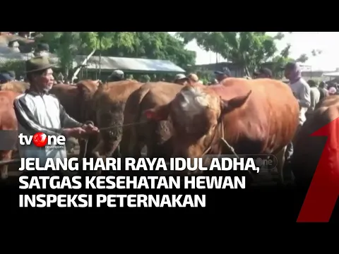 Satgas Pangan & Ternak di Jambi Inspeksi ke Setiap Peternakan