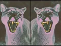 Don Toliver, Offset - Every Night (slowed reverb) Audio.
