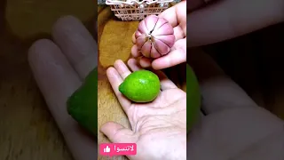 علاج القمل نهائيا 