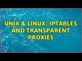 Unix Linux IPTables and transparent proxies 3 Solutions