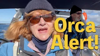 Beware of ORCAS! Part 2: Sailing SOUTH through Orca Territory to Portugal | Ep 276