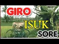 Download Lagu KEBO GIRO ESUK SORE DI STEL SAAT ISTIRAHAT SIANG SINAMBI NGUNJOK KOPI