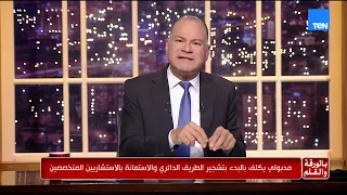 مصر تستعد لثورة خضراء.. مدبولي يوجه بالبدء الفوري في «تخضير القاهرة» والديهي يناشد: نوقف قطع الأشجار