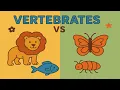 Who Has a Backbone Vertebrates vs Invertebrates Explained