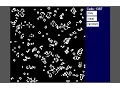 Conway s Game of Life programming HTML5 timelapse