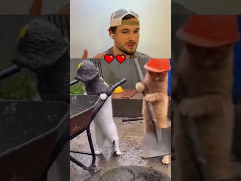 Try not to Laugh 🤫😭 | 541 #funny
