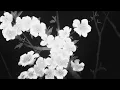 potter payper & tiggs da author - gangsteritus﹝slowed + reverb﹞