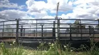 Priefert Australia Horse Walker - Customer Review