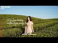 TEH HIJAU - Tulus Cover by Sela Merasa