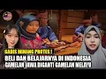 Download Lagu ANEH MALAYSIA,GAMELAN BUDAYA MELAYU TAPI BELINYA,BELAJARNYA DI INDONESIA TAPI KLAIMNYA DI MAQLAYSIA MP3