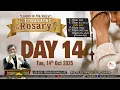 Download Lagu Listen to His Voice - Treasures of the Rosary - Day 14