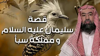 نبيل العوضي قصة سيدنا سليمان عليه السلام من الميلاد للوفاة وقصته مع مملكة الجان وسر نقل عرش بلقيس 