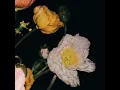 Lately (feat. Shane) - oftn