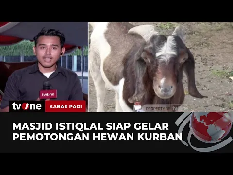 Masjid Istiqlal Potong Hewan Kurban Hari Ini