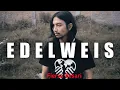 Download Lagu Edelweis - Bung Fiersa Besari (Versi Ukulele)