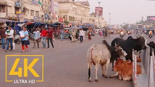 Everyday Life Of Puri 4K Travel Film Incredible India Cities Of The World 