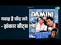 गवाह है चाँद तारे - झंकार बीट्स | Damini - Jhankar Beats | Alka Yagnik | Kumar Sanu Songs |