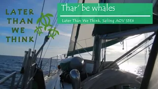 Thar’ Be Whales, Later Than We Think, SAOV, S5E6