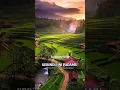 Download Lagu 005 ✨ SERiNDU iNI PADAMU | LAGUKEREN135 | Shandy_Pagalla | FULL LiRiK