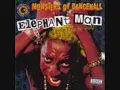 elephant man (willie bounce)