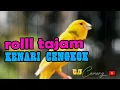 Download Lagu KENARI GACOR ROLL TEMBAK cocok buat Mastetan