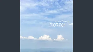 יונה לבנה יונה לבנה 