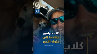 وفاء بعد الموت.. كلاب ترافق جنازة من أنقذ آلافا منها
