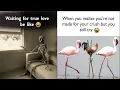 cute memes for crush flirty memes for crush Laughing memes