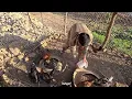 IRAN nomadic life: 🍞The delight of nomadic breakfast! |🔥Baking bread on the fire for breakfast 🍲
