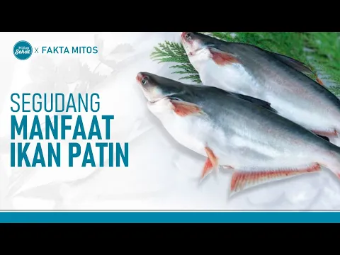 Segudang Manfaat Ikan Patin,  Amankah Untuk Kolesterol?