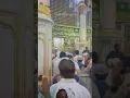 Download Lagu Maher Zain - Ya Nabi Salam Alayka (Arabic) | ماهر زين - يا نبي سلام عليك | Official Music Video