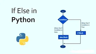 What are Conditional Statements in Python If If Else If Elif Else Python Tutorial