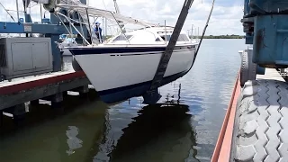 1. We Just Bought a Boat – Sailing Vessel Somnium