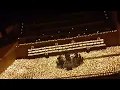 Hasta que te conoci Juan Gabriel candlelight