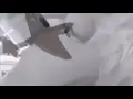 Big bird has Vietnam flashbacks