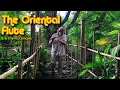 Download Lagu The Oriental Flute